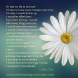 A daisy a day poem image 1500